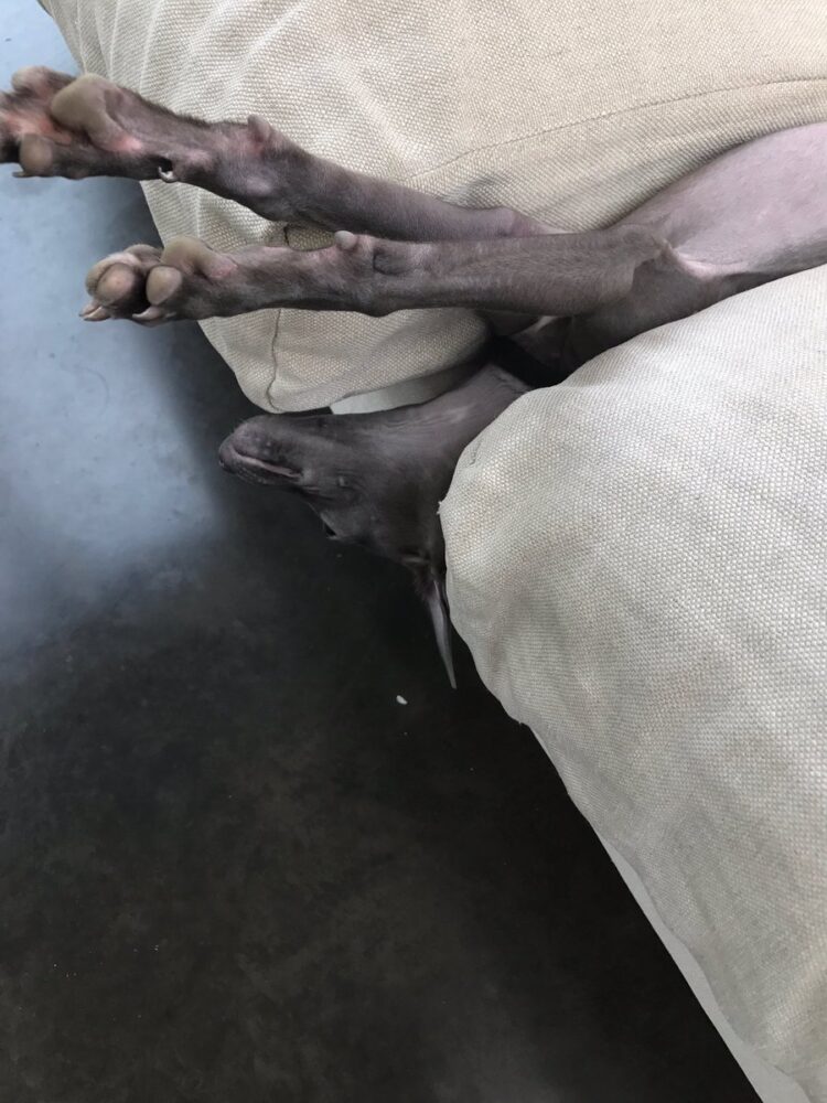 cates holderness feet 3