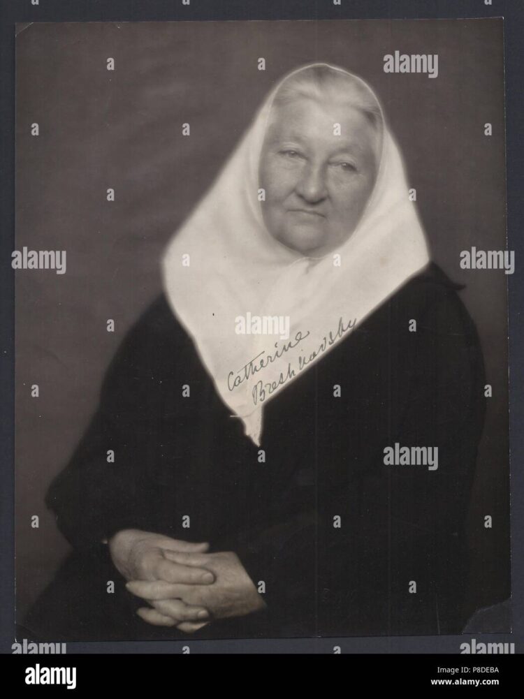 catherine breshkovsky feet 4