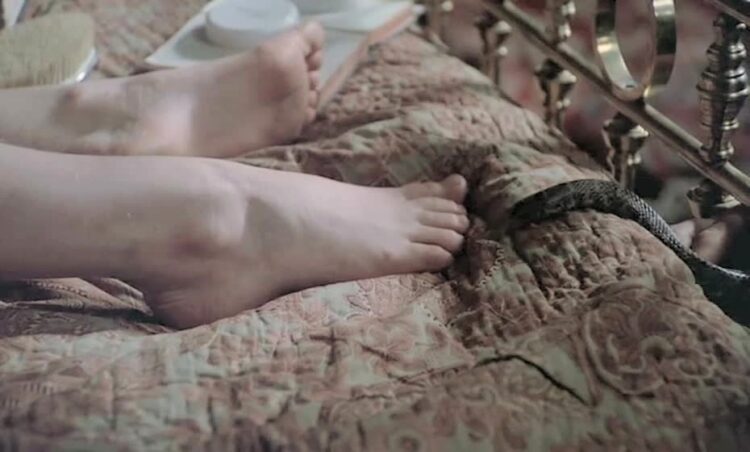 cathryn harrison feet