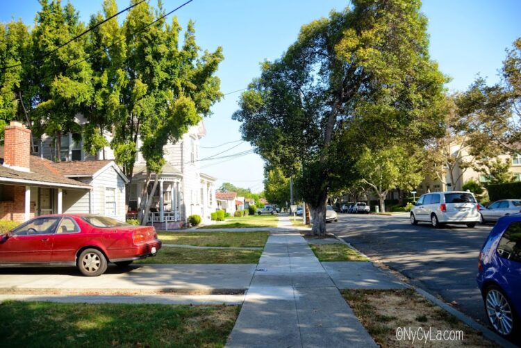 cecile nycyla feet 5