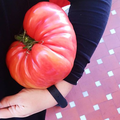 cecilia alvarez feet 6