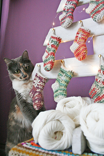 cecilia paterno feet 6