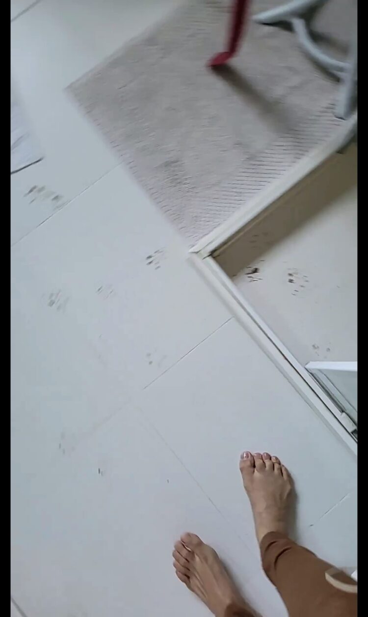 cela malafaia feet 1