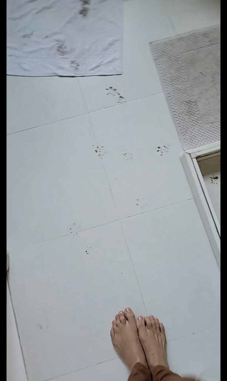 cela malafaia feet 3