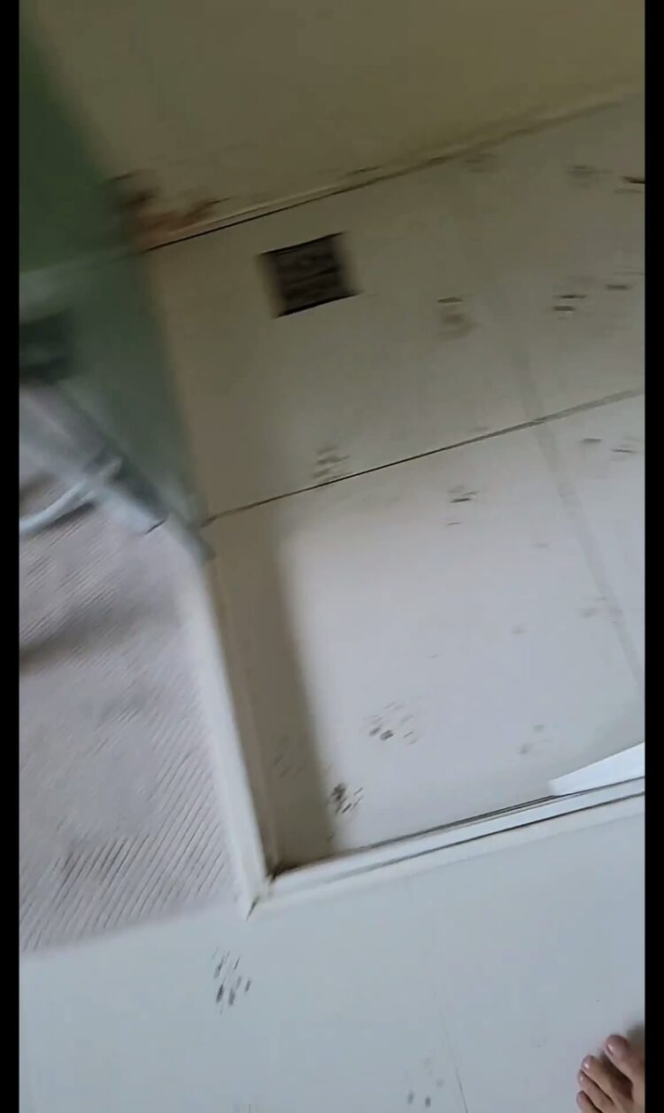 cela malafaia feet 5