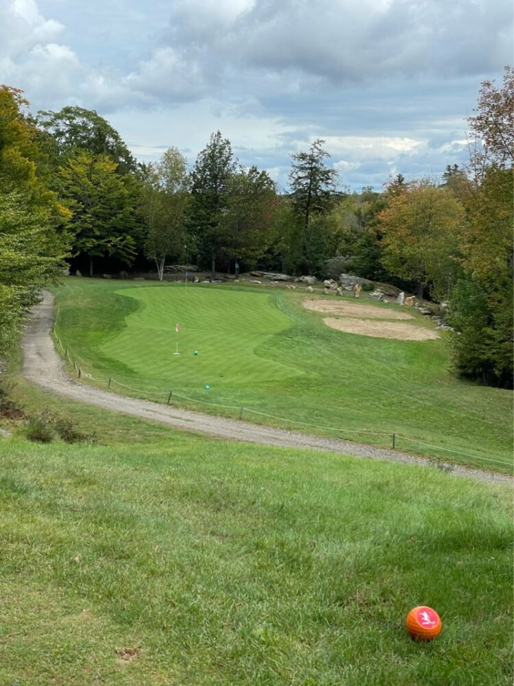 celeste morin feet 2