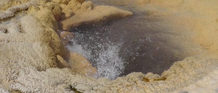 chante geyser feet 6