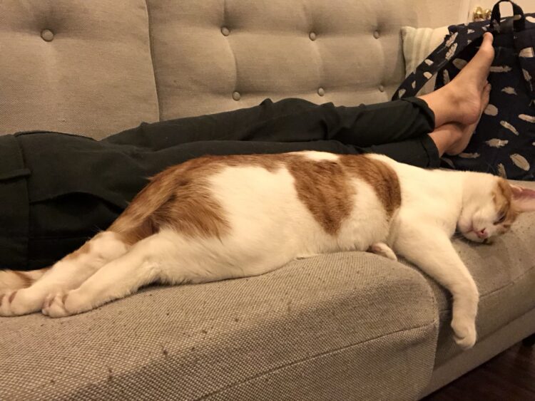 chantel houston feet 5