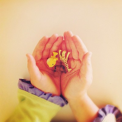 chantelle ellem feet 4