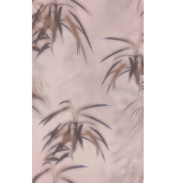 charleigh kiara feet 3