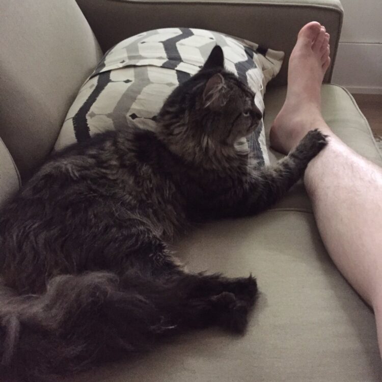 charlie mcdonnell feet 1