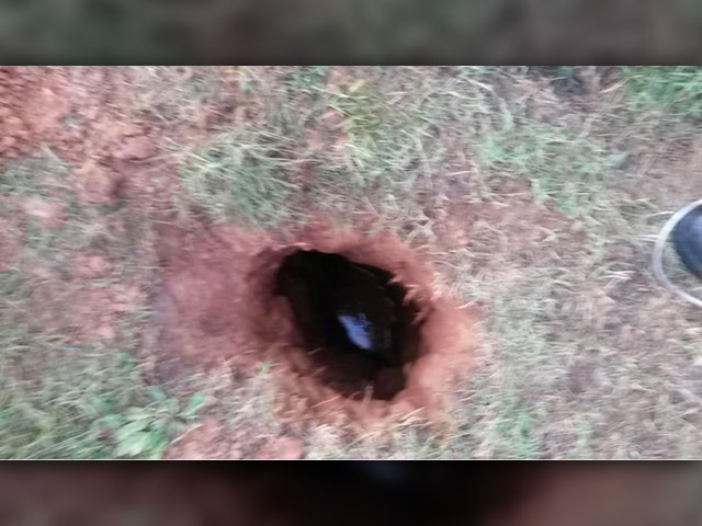 charlotte hole feet 1