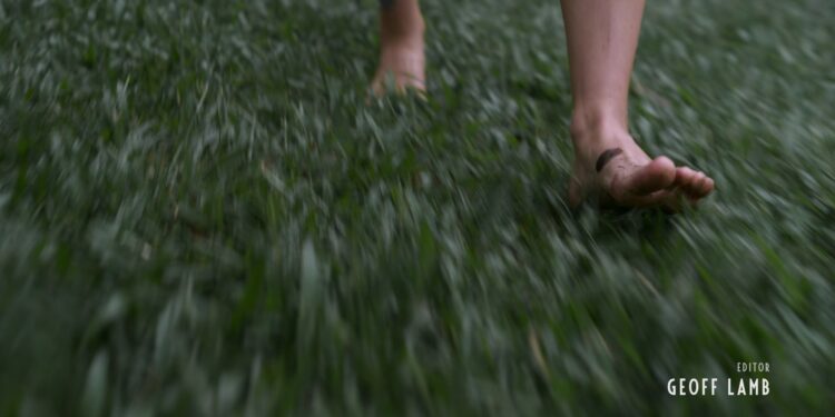 charlotte zone feet 1