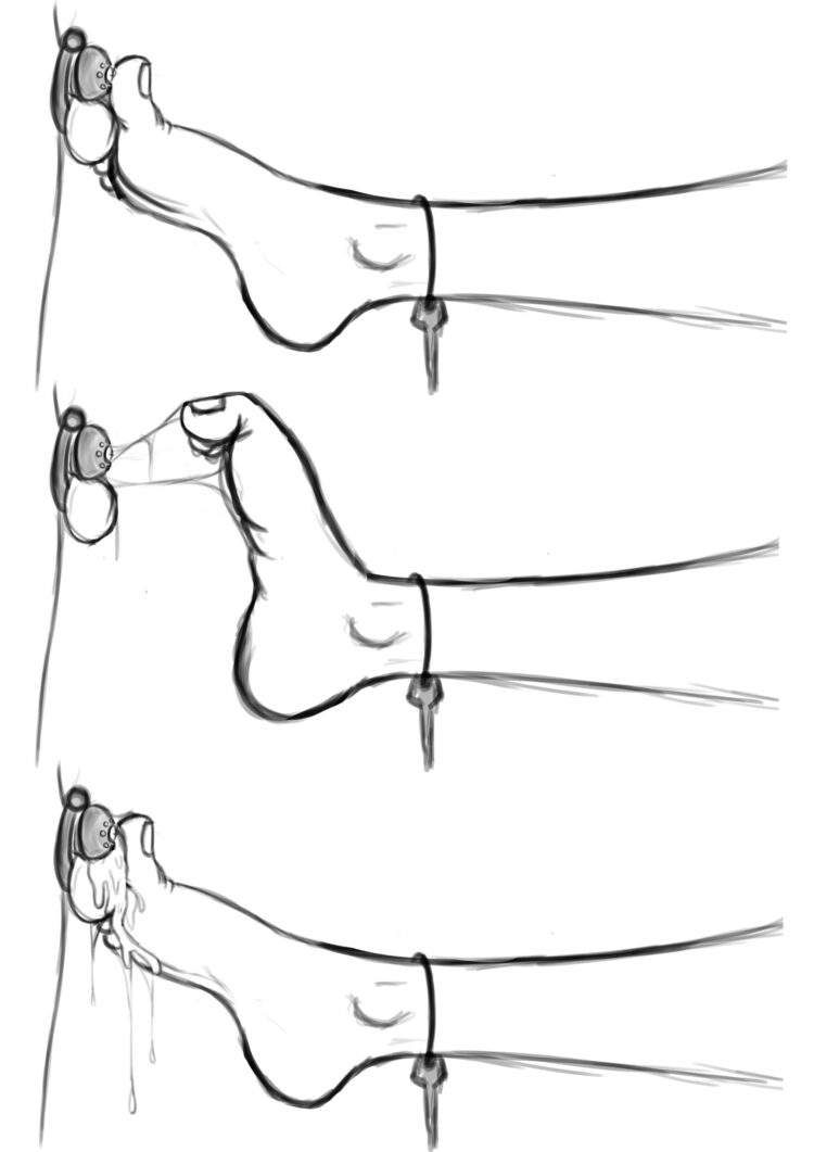 chastity feet scaled