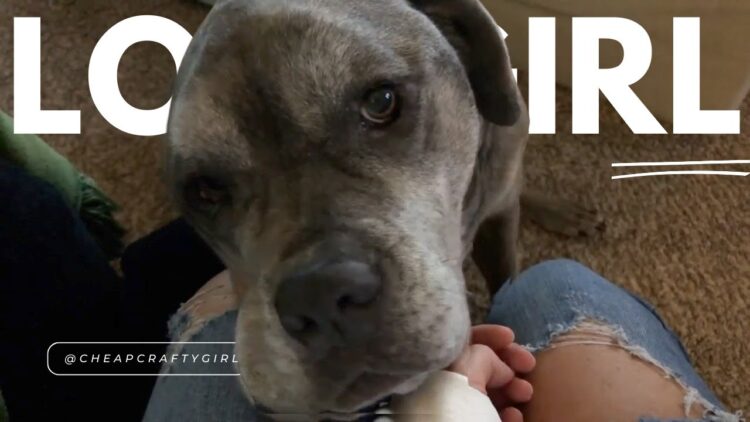 cheapcraftygirl feet 4