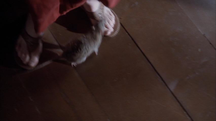 chelah horsdal feet 1