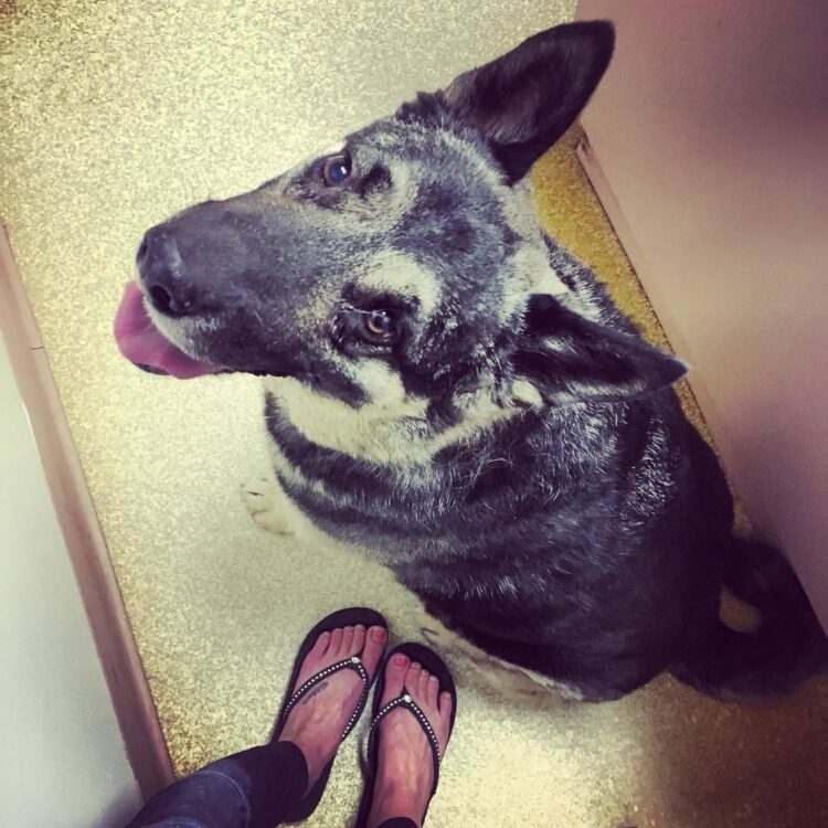 chelsea brummet feet 2