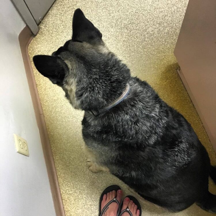 chelsea brummet feet 5