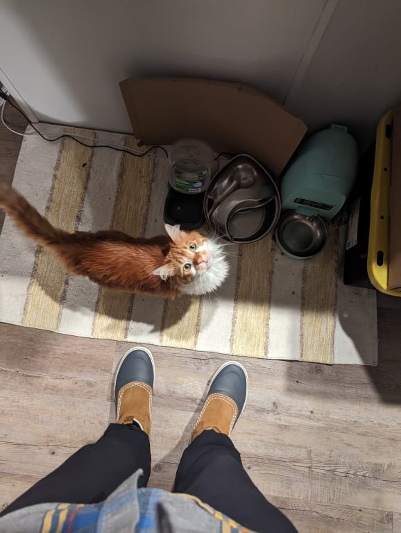 chelsea snow cain feet 2