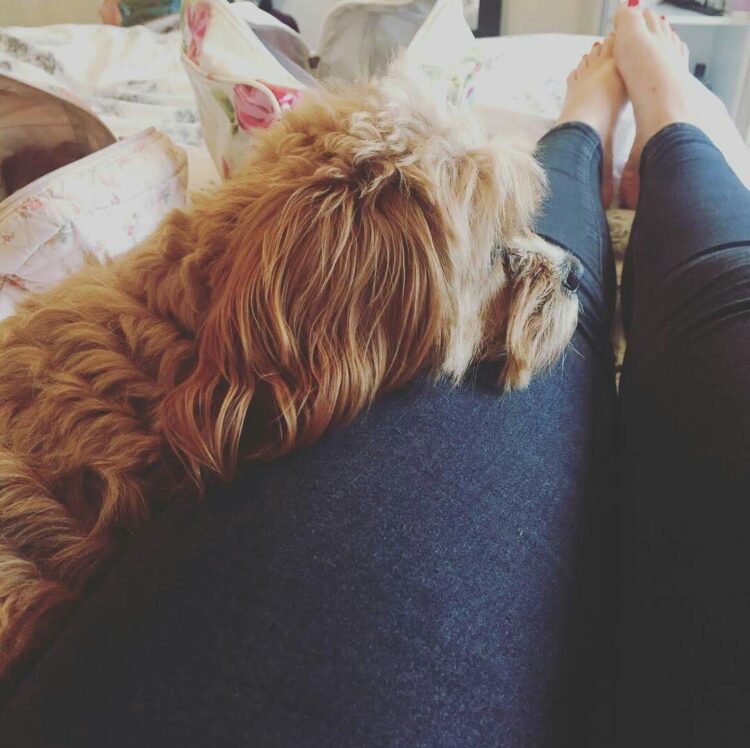 chelsie padley feet 3