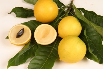 chi kim hoang feet 2