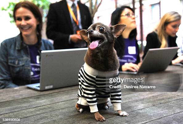 chloe kardoggian feet