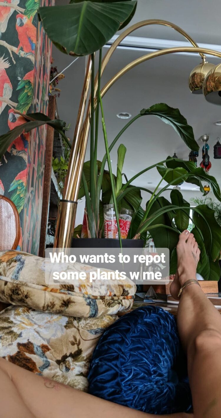 chloe norgaard feet 2