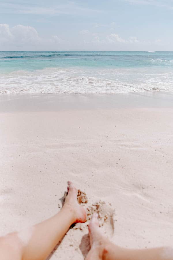 choosing chia feet 1