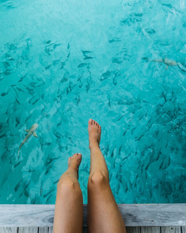 choosing chia feet 2