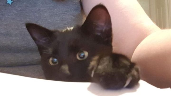 chrissy grimsdale feet 2