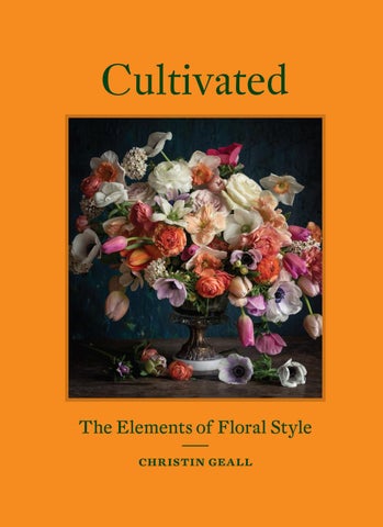 christin geall feet 6