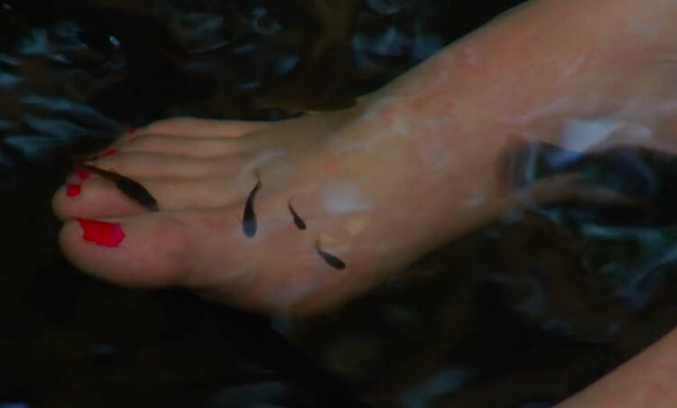 christina newman feet 6