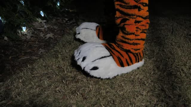 christina tiger feet 2
