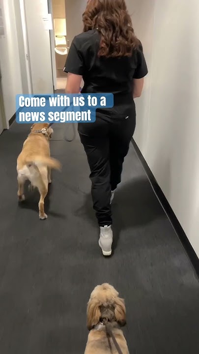 christine fox feet 4