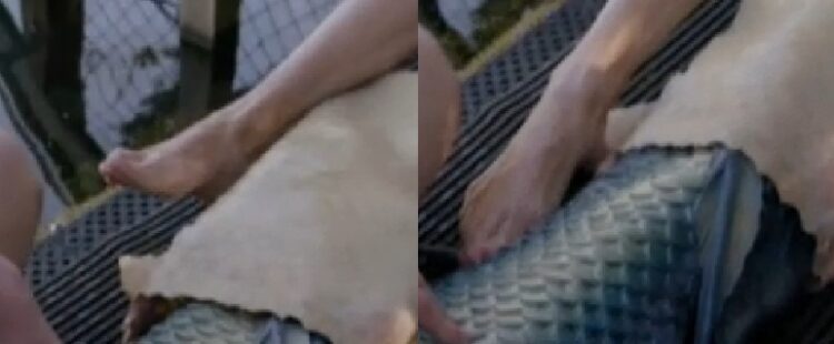 christine meltzer feet 4