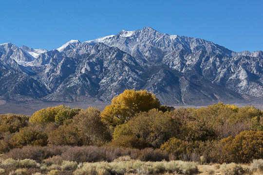 cierra starkweather feet 3