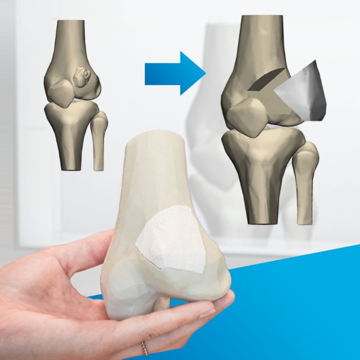 clara rabeler feet 4