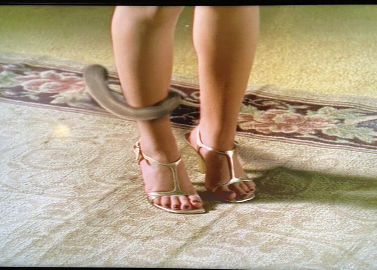 clare kramer feet