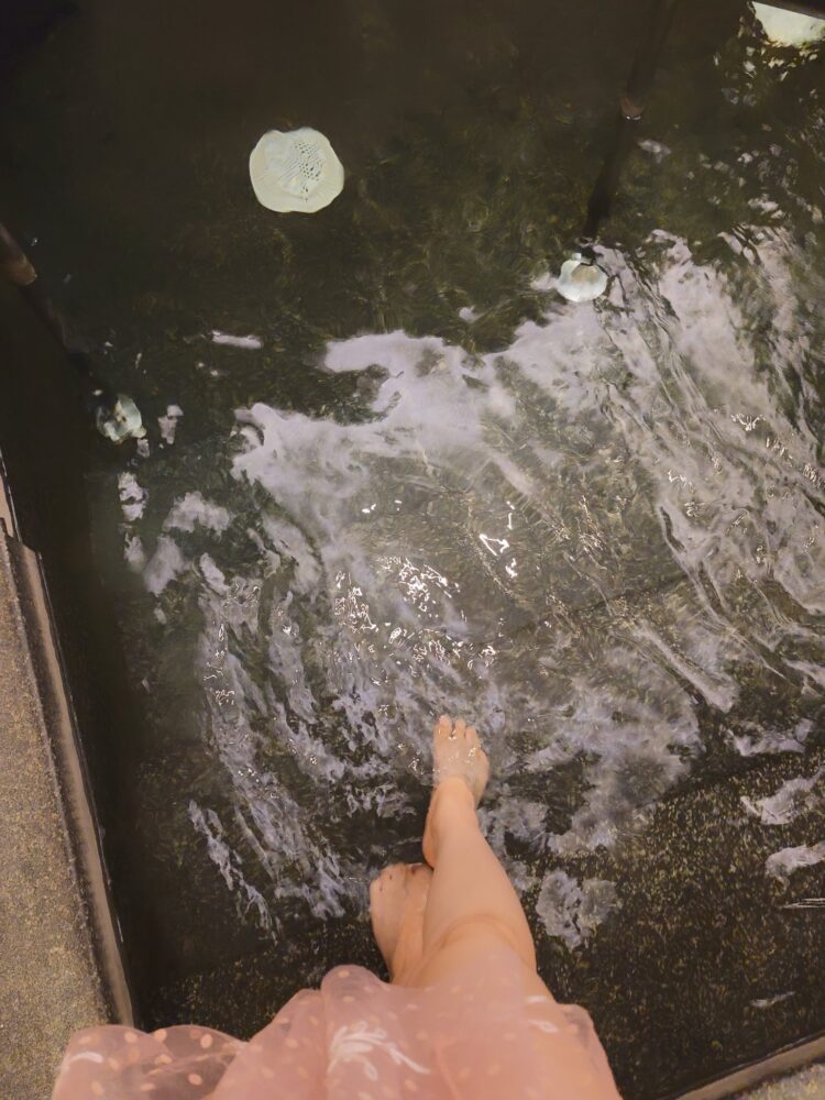 clarissa punipun feet 1