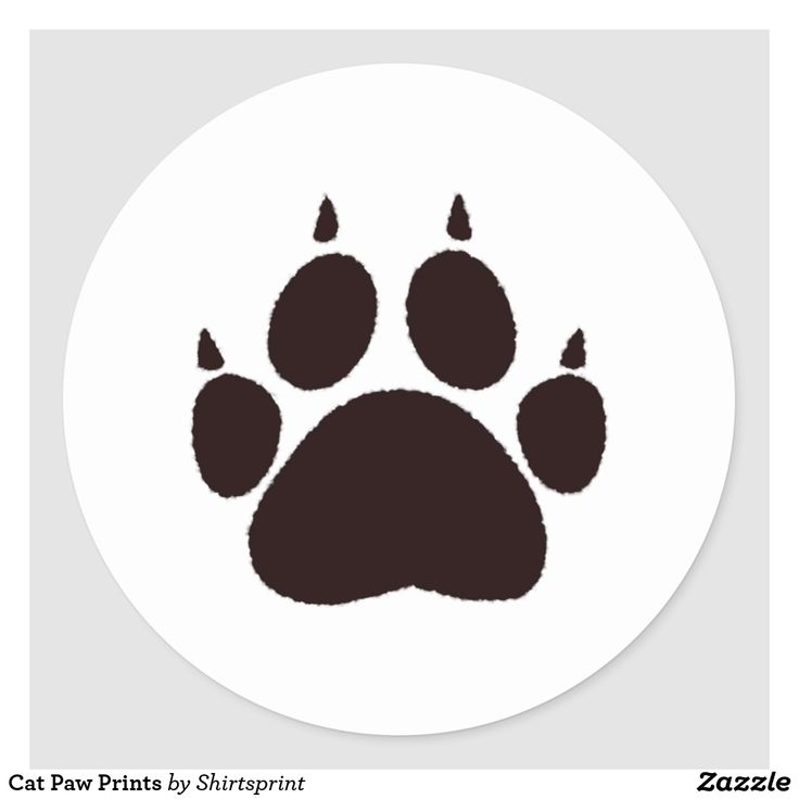 classical cat feet 5