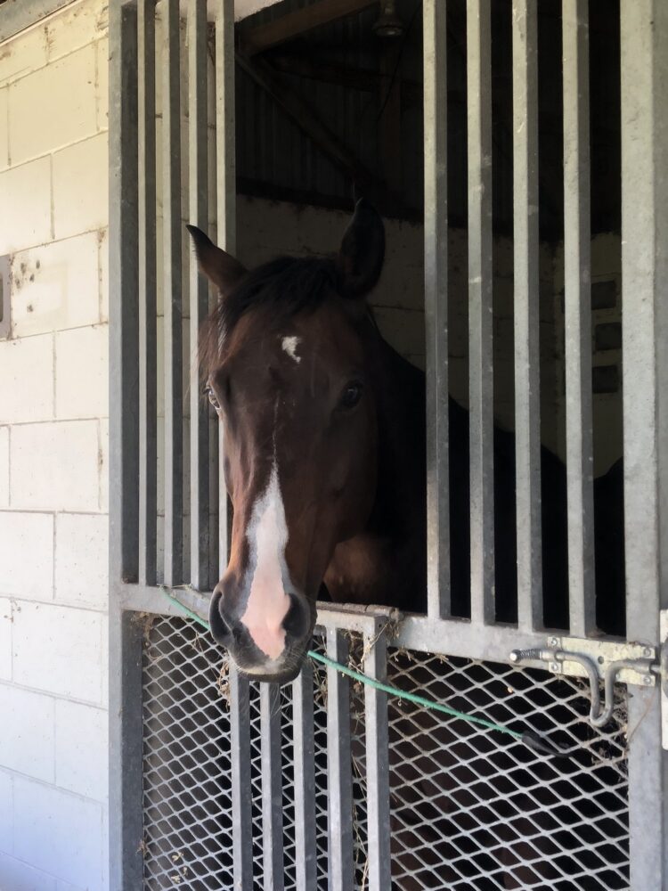 claudia lorena feet 5