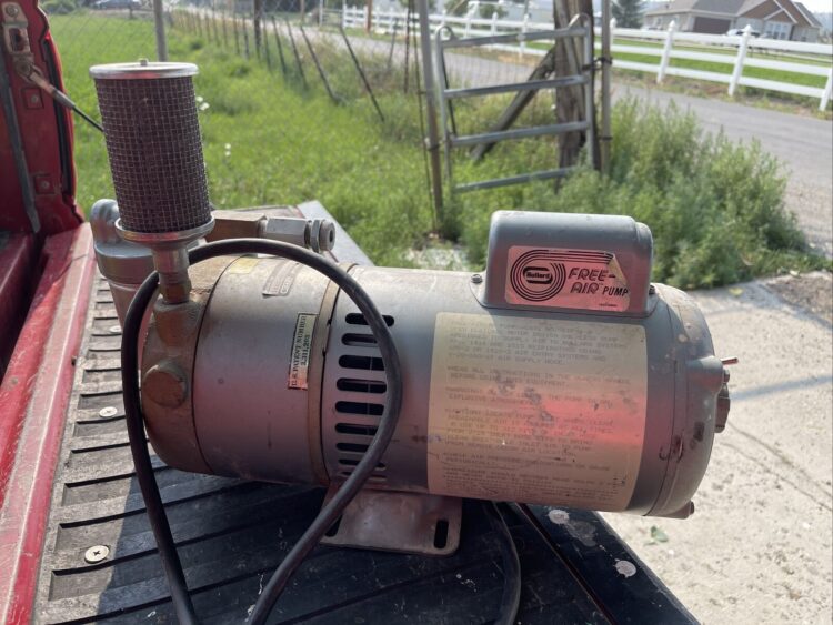 clea bulard cartier feet 6