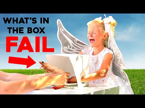 cleopatra licciardo toivola feet 4