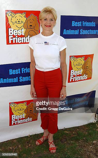 concetta tomei feet 4