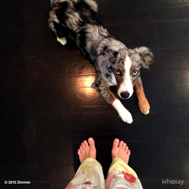 constance zimmer feet 5