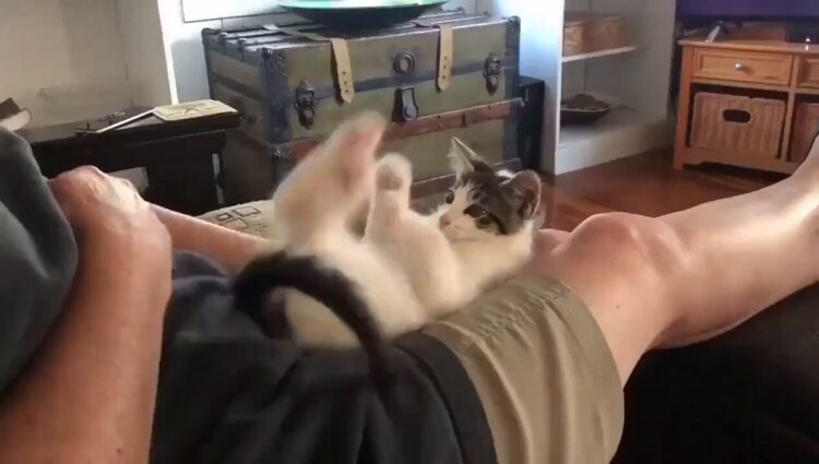 corinne sudberg feet