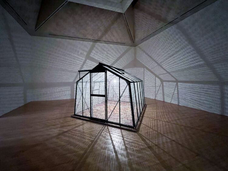 cornelia parker feet 5