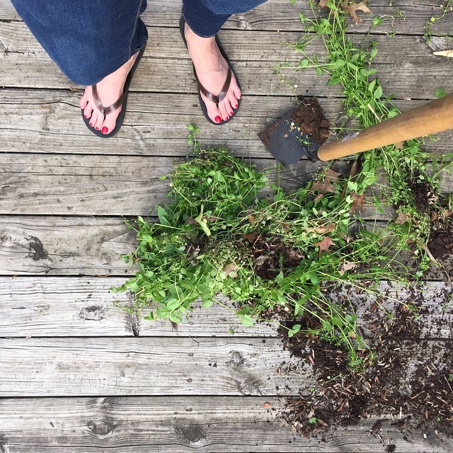 coryanne ettiene feet 3