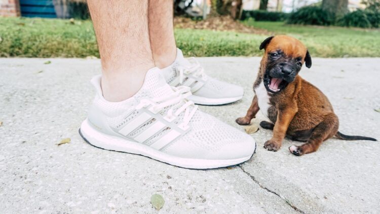 courtney clayton feet 1