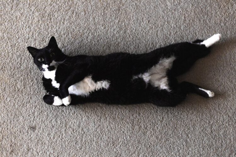 crazyvegankitchen feet 6